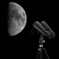 0114120 m 7 v0719